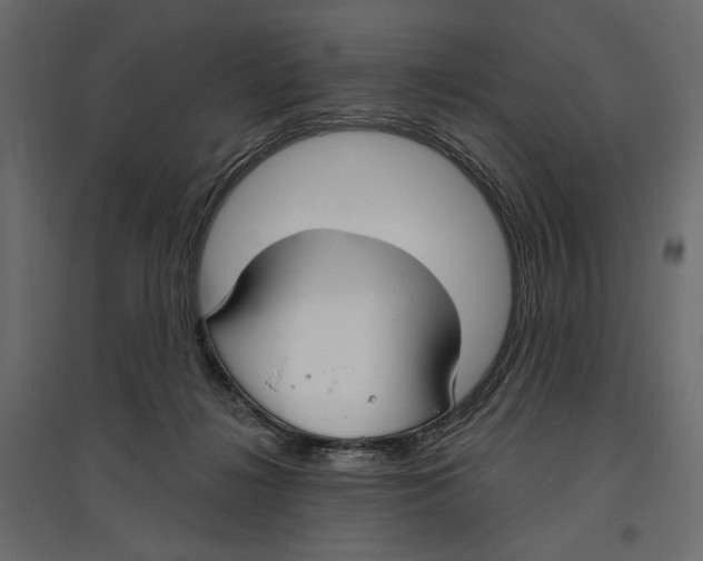 X0000096970268200803071013