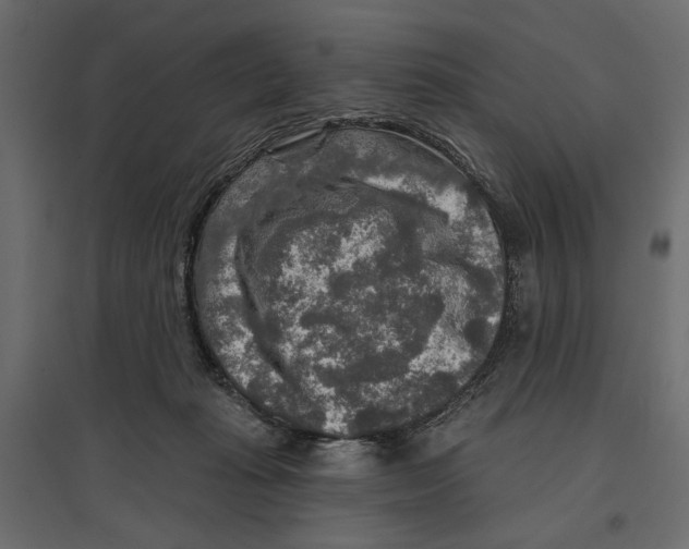 X0000096970269200803071013