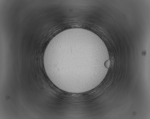 X0000096970270200803071013