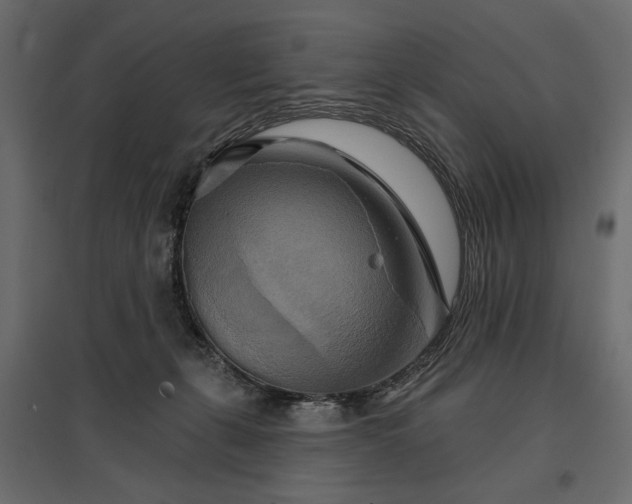 X0000096970271200803071013