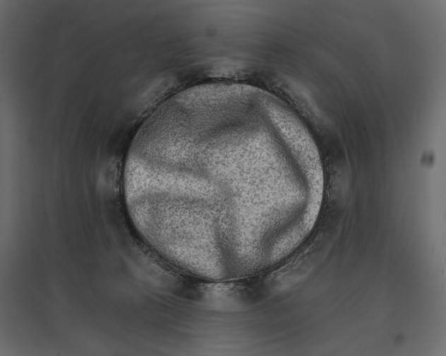 X0000096970273200803071013