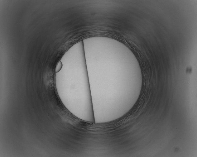 X0000096970274200803071013
