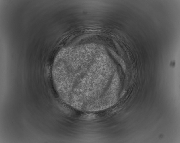 X0000096970276200803071013