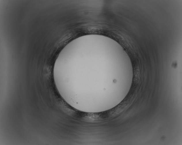 X0000096970278200803071013