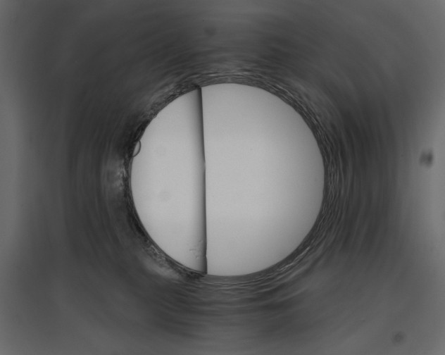 X0000096970279200803071013