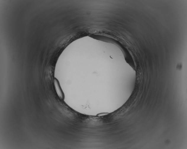X0000096970280200803071013