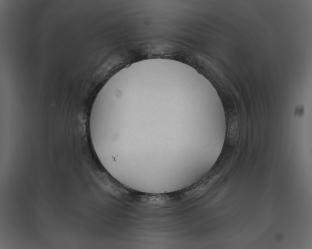 X0000096970282200803071013