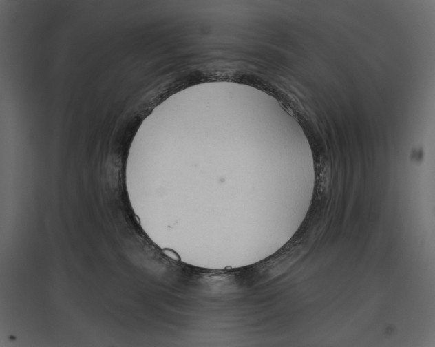 X0000096970283200803071013