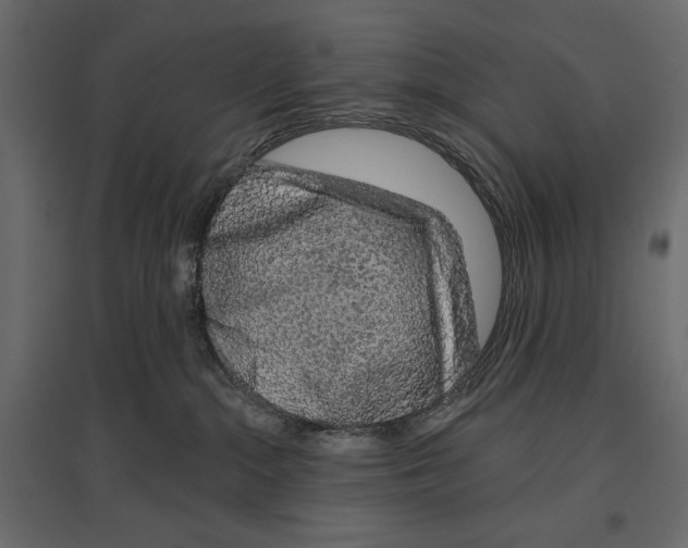 X0000096970284200803071013
