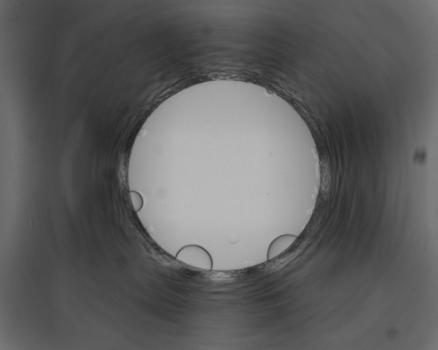 X0000096970287200803071013