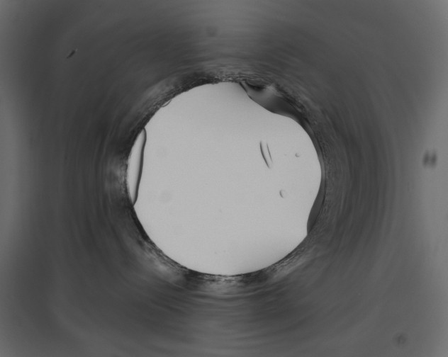 X0000096970288200803071013