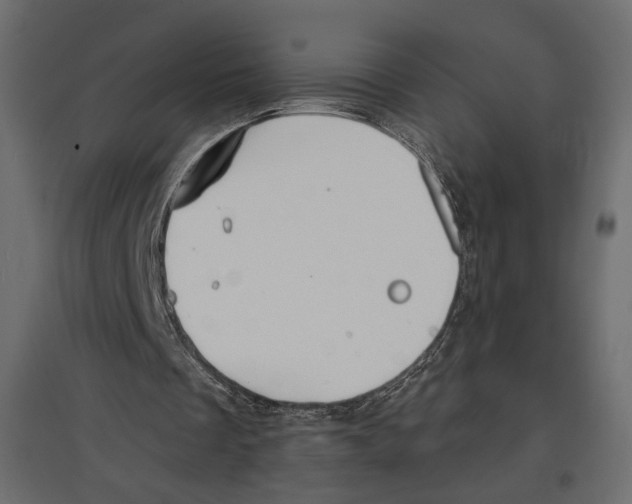 X0000096970289200803071013