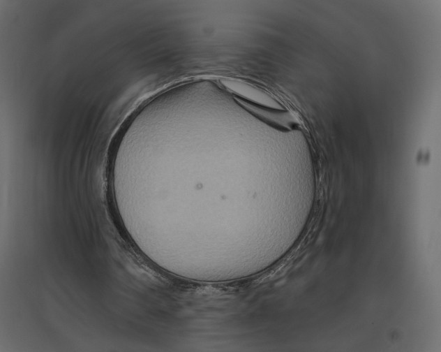 X0000096970290200803071013