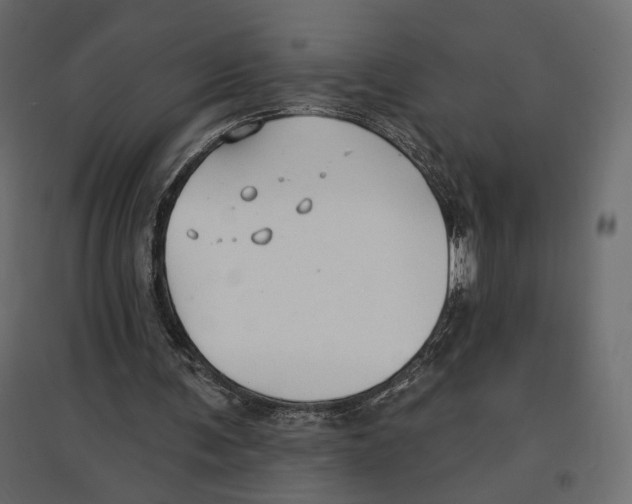 X0000096970291200803071013