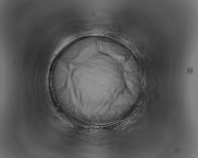 X0000096970292200803071012