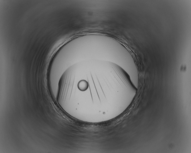 X0000096970293200803071012