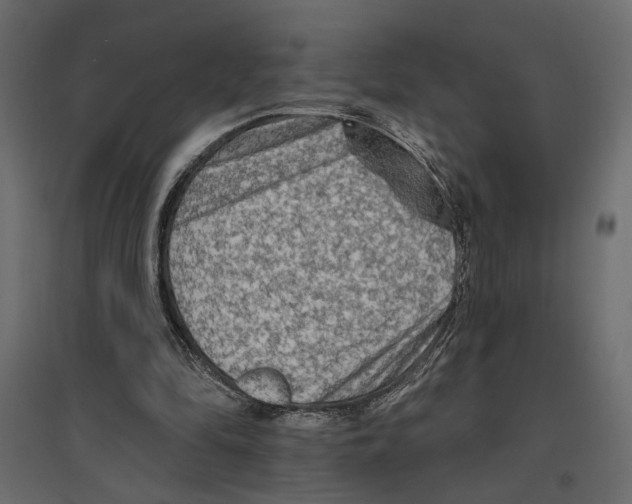 X0000096970294200803071012