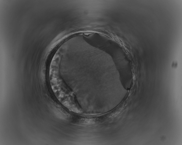 X0000096970295200803071012