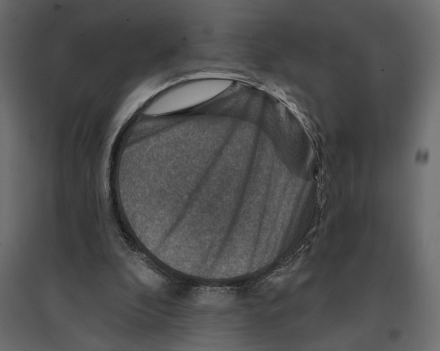X0000096970296200803071012