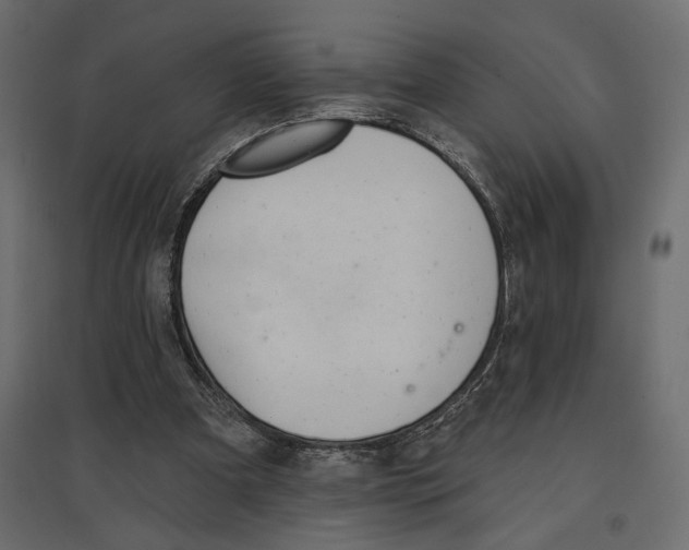 X0000096970297200803071012