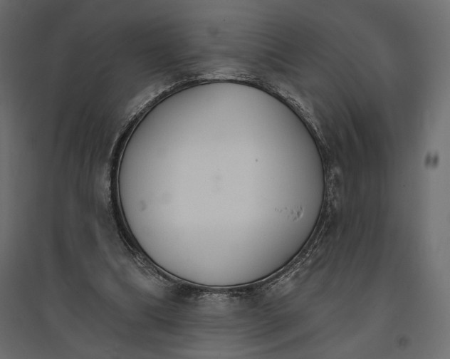 X0000096970298200803071012