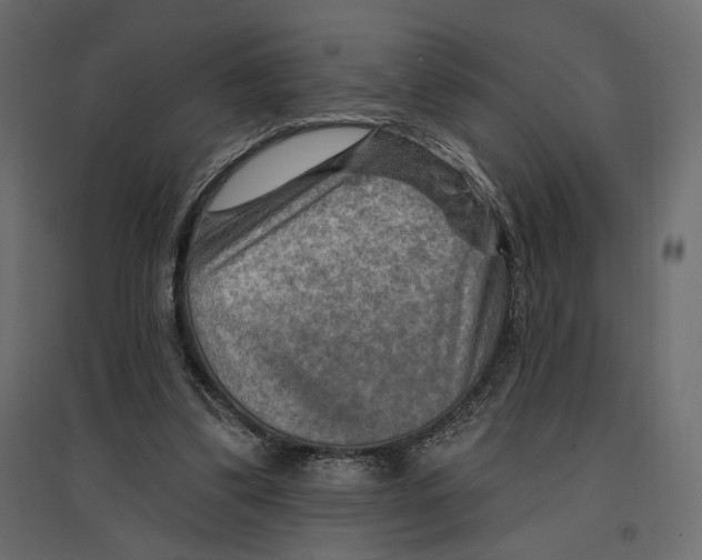 X0000096970299200803071012