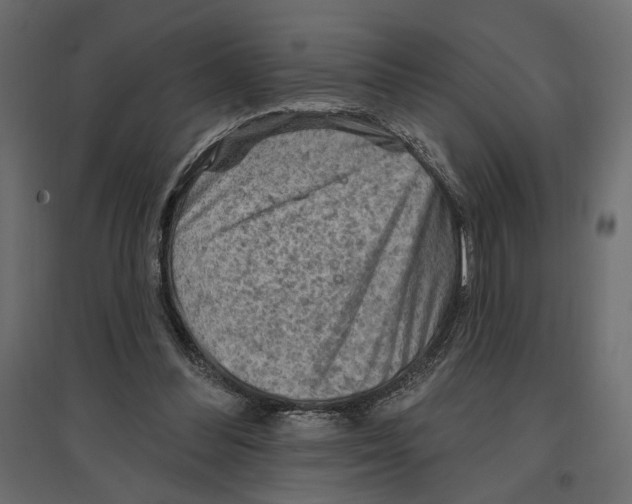 X0000096970300200803071012