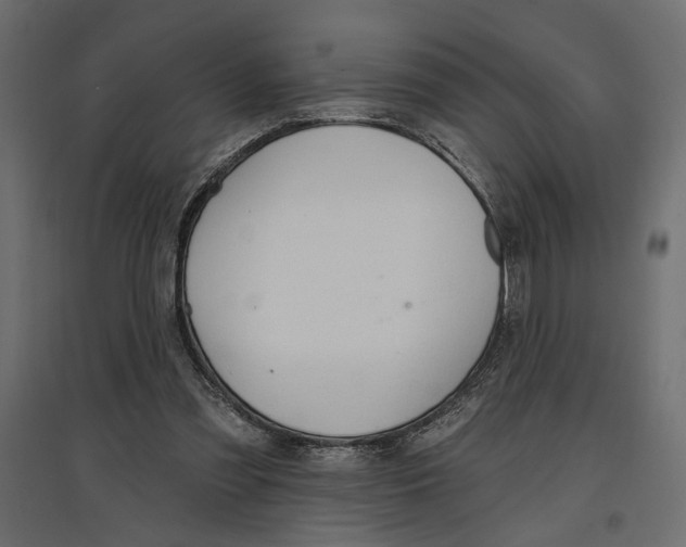 X0000096970301200803071012