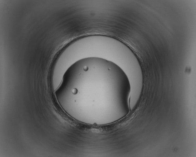 X0000096970302200803071012