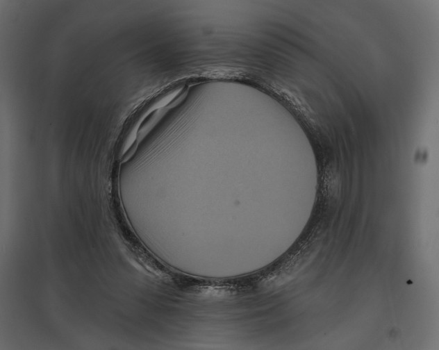 X0000096970303200803071012