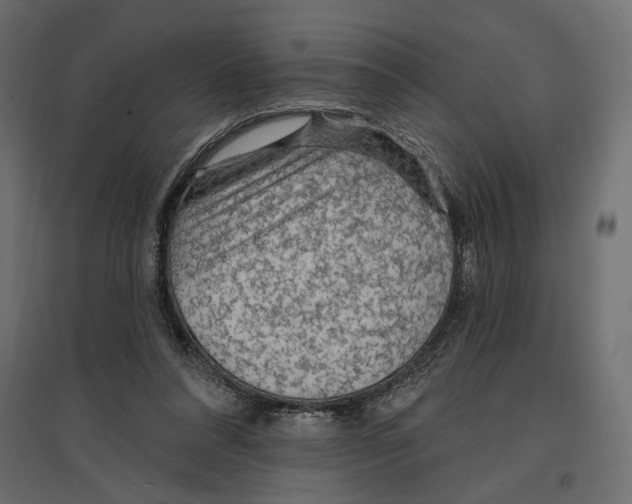 X0000096970304200803071012