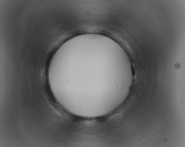 X0000096970306200803071012