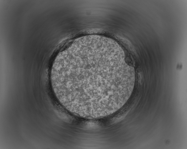 X0000096970308200803071012
