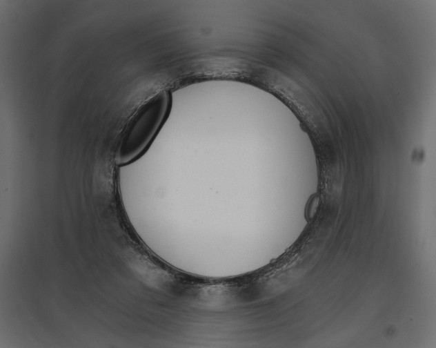 X0000096970309200803071012