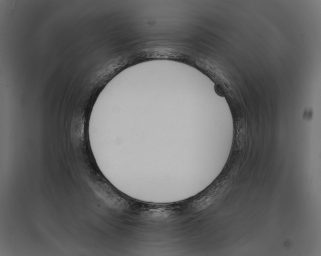 X0000096970310200803071012