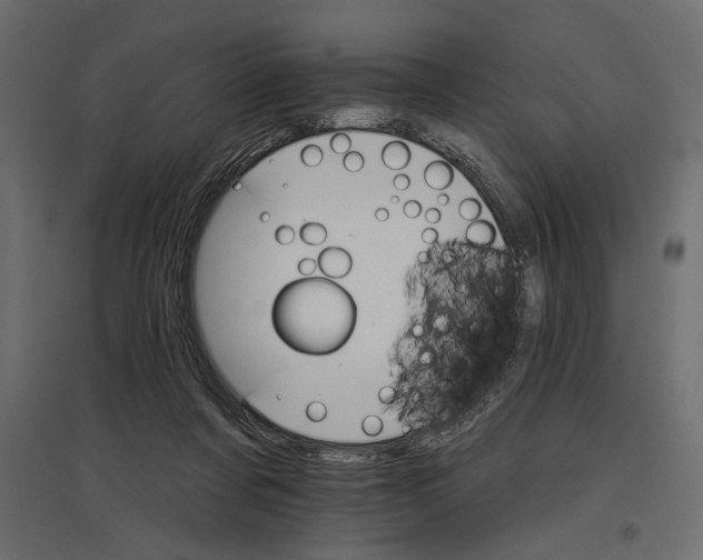X0000096970311200803071012