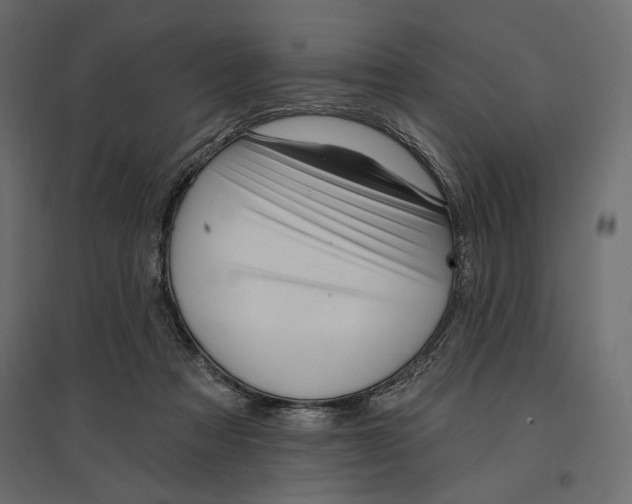 X0000096970313200803071012