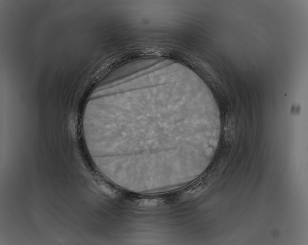 X0000096970314200803071012