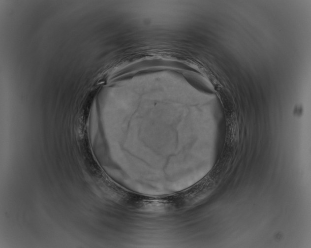 X0000096970316200803071012