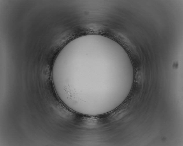 X0000096970318200803071012