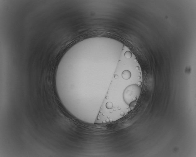 X0000096970319200803071012