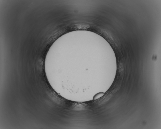 X0000096970321200803071012