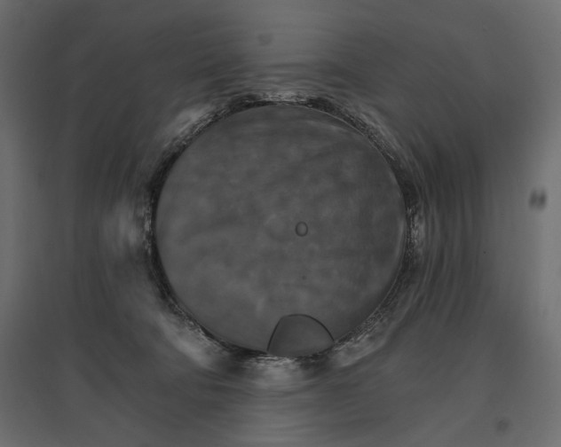X0000096970322200803071012