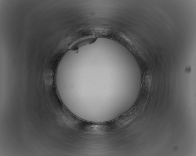 X0000096970323200803071012