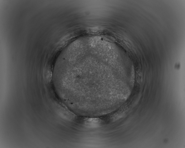 X0000096970324200803071012