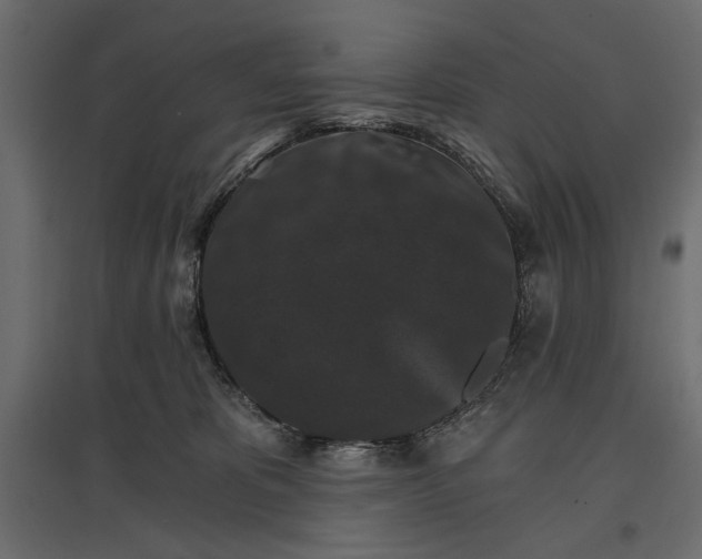 X0000096970325200803071012