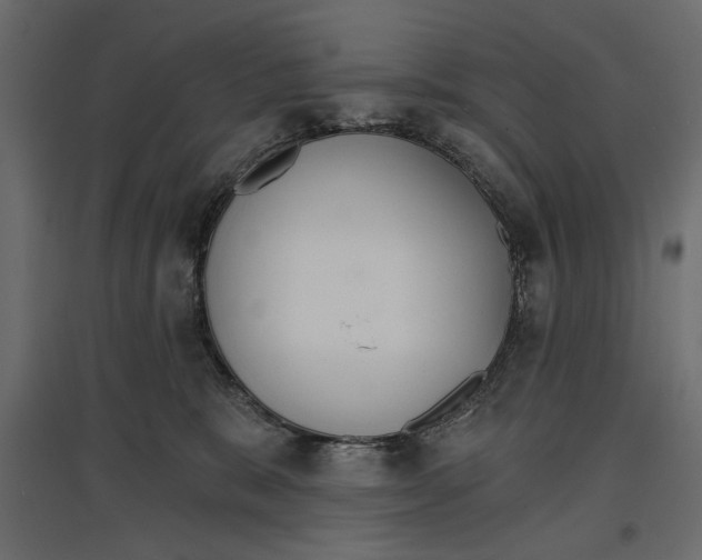 X0000096970327200803071012