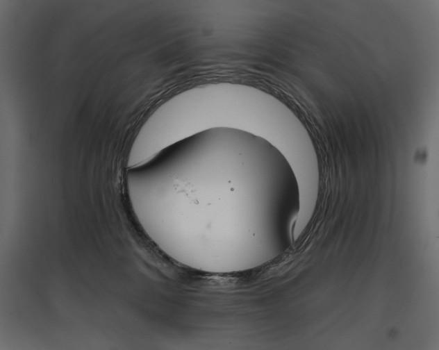 X0000096970328200803071012