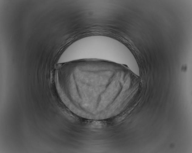 X0000096970330200803071012