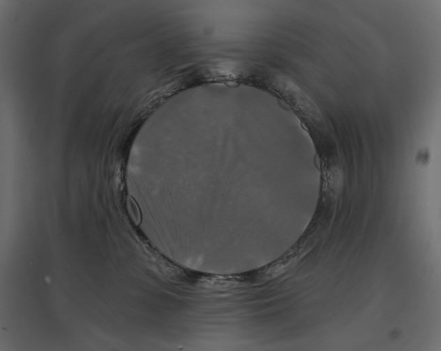 X0000096970331200803071012